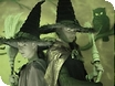 Halloween Witch Hat Hunt at Clearwell Caves
