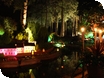 Autumn Illuminations at Forest Model Village