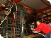 Milking at Cotswold Farm Park