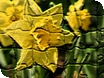 Mothers day events in Gloucestershire