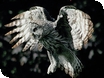 Valentine's Day Owl Evenings
