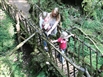 School half term holiday activities at Nature in Art