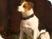 Antiques and Fine Art Fairs in Gloucestershire