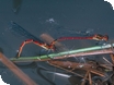 Annual Boat Jumble at Gloucester Docks
