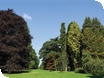 Half Term Events at Westonbirt Arboretum