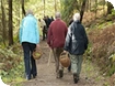 Mushroom Hunting at Taurus Crafts