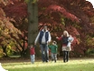 Events at Westonbirt Arboretum