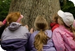 Half Term at Westonbirt Arboretum