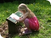Events at Westonbirt Arboretum