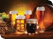 Beer and Cider Festival, Canal Trust Open Day at the Wharf House