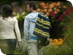 Events at National Trust properties in Gloucestershire