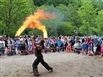 Bank holiday events in the Forest of Dean