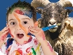Events in the Cotswolds