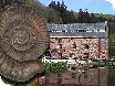 Events in the Forest of Dean