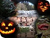 Halloween at Dean Heritage Centre