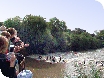 The Severn Bore video at Maisemore Bridge, near Gloucester