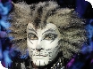 CATS on TOUR at the Centaur, Cheltenham