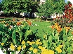 Montpellier Gardens Family Fun Day