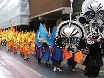 Gloucester Blues Carnival