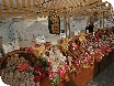 French Market in Cheltenham