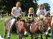 Berkeley Agricultural Society Show