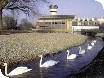 Events at WWT Slimbridge