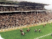 Racing in Cheltenham