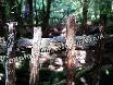 Rustic fences throughout
