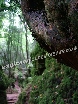 Prehistoric landscape