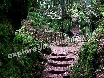 A labryinth of pathways