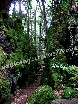 An ancient gorge