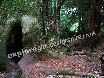 A fairy hole!