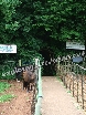 A gloomy entrance - Mirkwood?