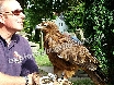 Meeting the birds of prey