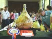 Newent Onion Fayre
