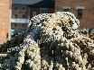 Some rigging rope