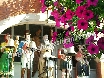 Gloucester in bloom