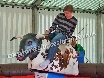 Rodeo rides