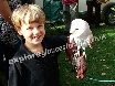 Cotswold Falconry