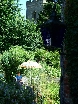 Café garden