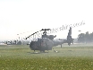 Gazelle gets smokey