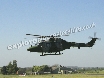 A Lynx takes off