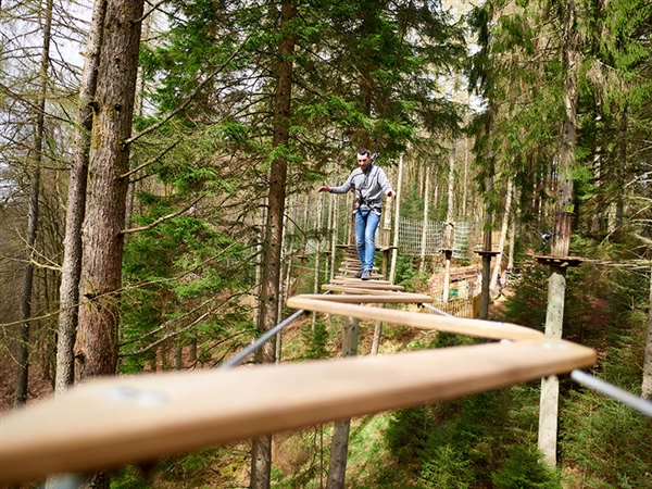 Enjoy a tree top adventure with Go Ape at Mallards Pike