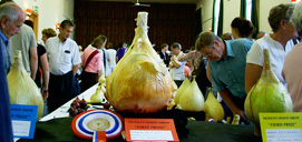 Newent Onion Fayre: One HUGE onion!