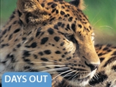 Visitor Attractions Offers