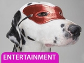 Entertainment Offers