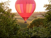 Over Westonbirt Arboretum