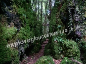 Puzzlewood or Puzzle Wood in the Forest of Dean