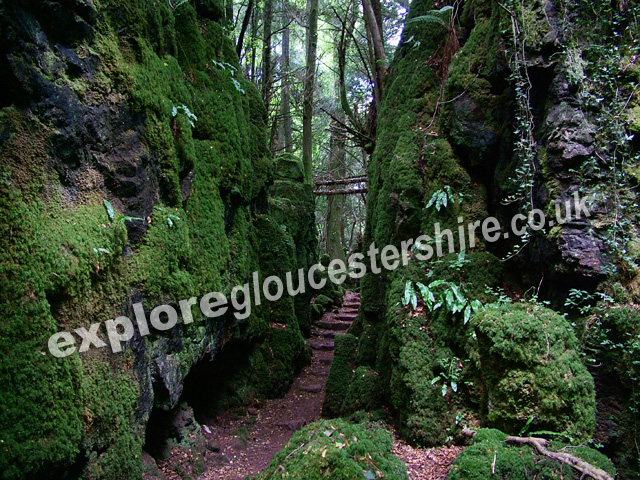 Puzzlewood or Puzzle Wood in the Forest of Dean