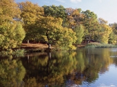 Gloucestershire photography competition